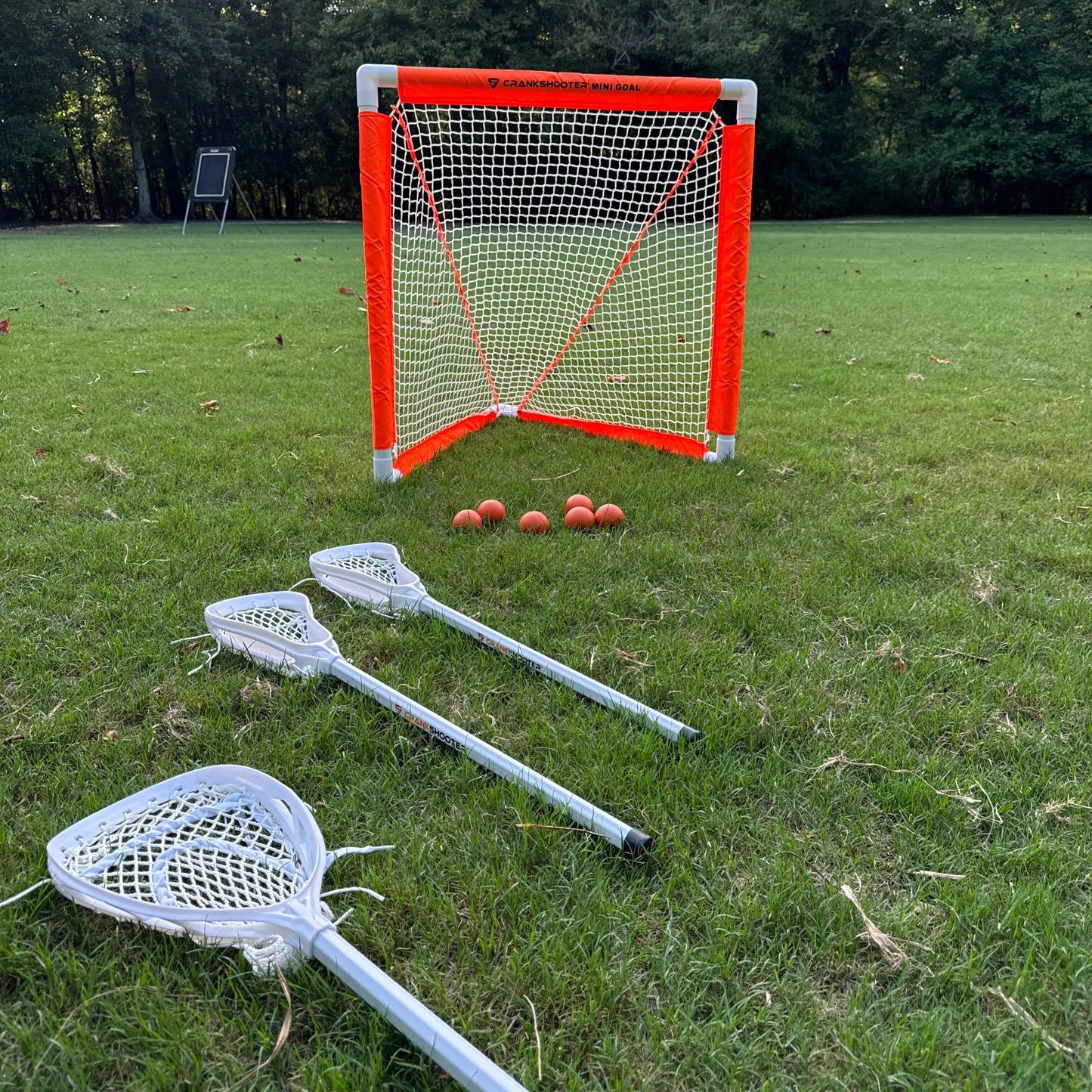 NEW! Mini Lacrosse Goal Set, Includes 2 Goals, 3 sticks & Soft Ball - FREE SHIPPING