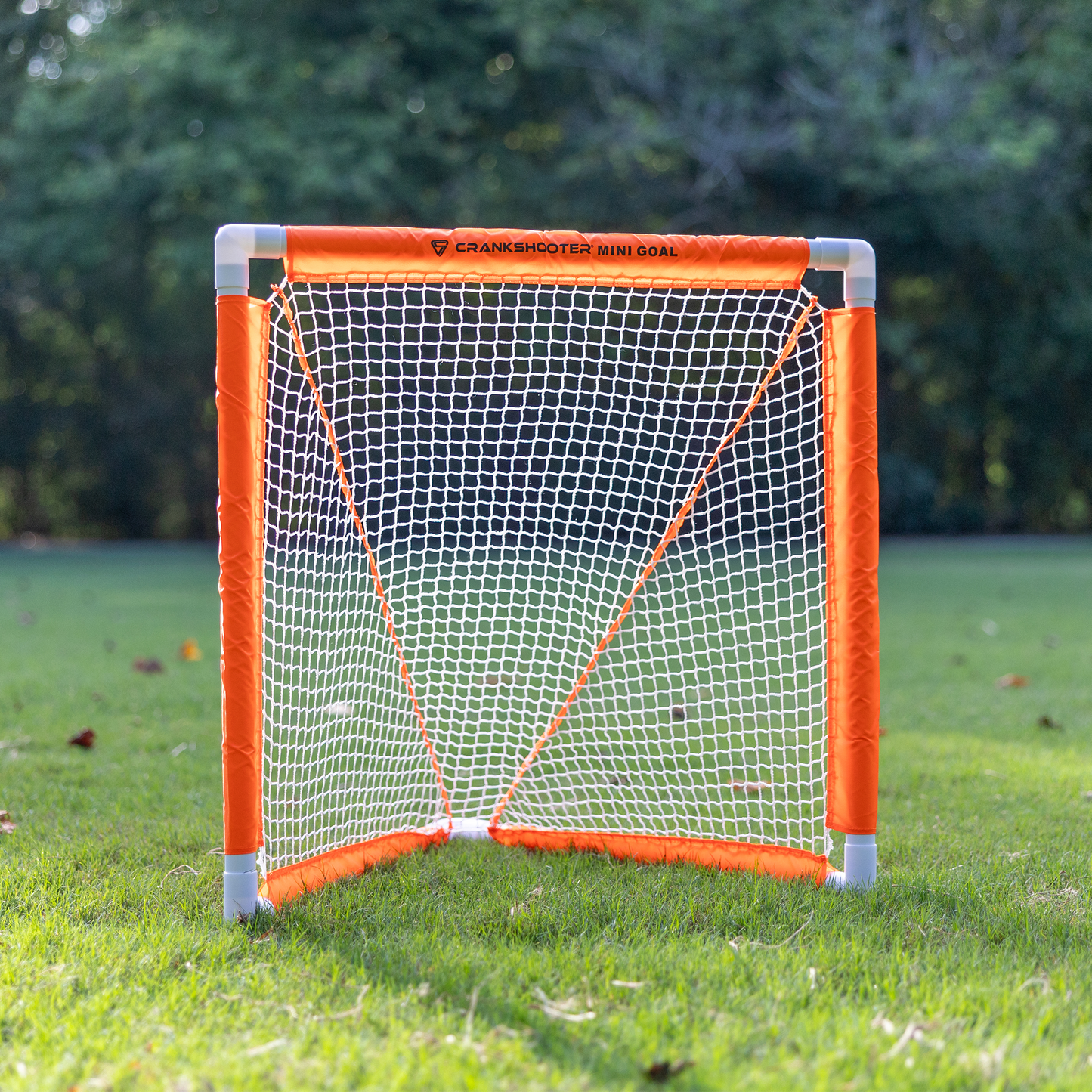 NEW! Mini Lacrosse Goal Set, Includes 2 Goals, 3 sticks & Soft Ball - FREE SHIPPING